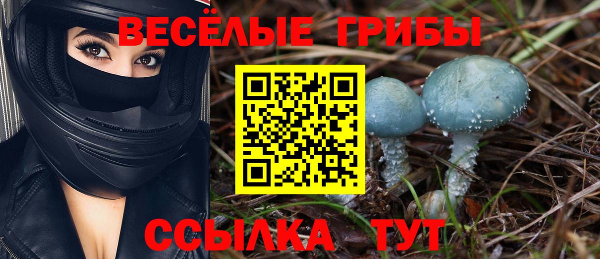 Галлюциногенные грибы Psilocybe  что такое наркотик  Щёлково  Галлюциногенные грибы ЛСД  Вход с VPN 